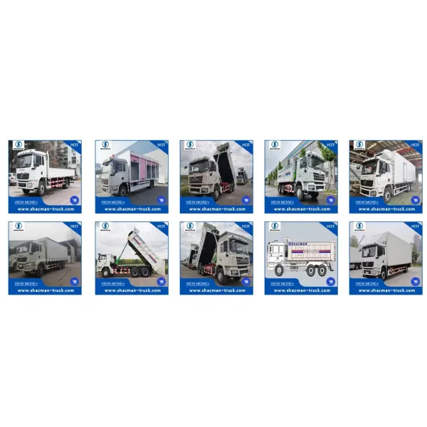 Shacman 10ton Mini Closed Van Cargo Truck