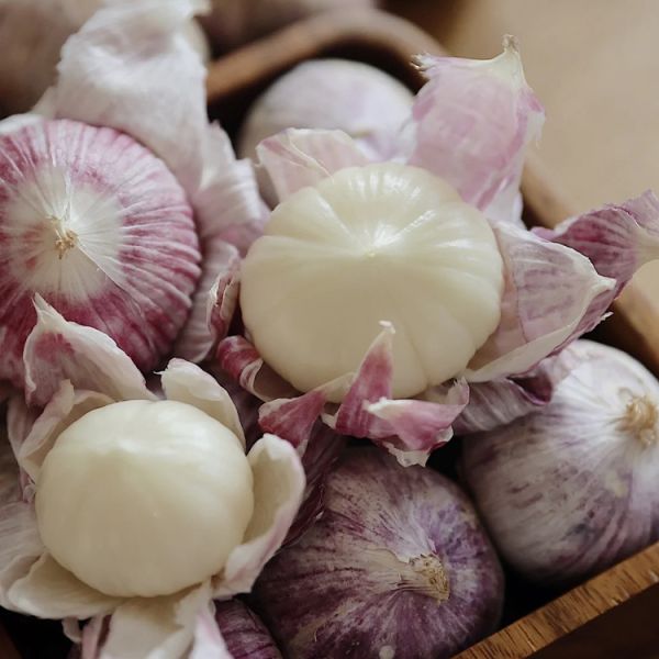 Economically Priced High-quality Organic Pure White Chinese Garlic Light Spicy Freshly Harvested in Export Mesh Bag Packaging