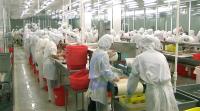 Beaucoup de cas Vente à chaud de la machine de pellicule de tilapia 0,75KW La pellicule de tilapia haute stabilité