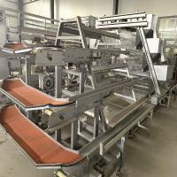 Coletor automático do ovo da galinha do motor de Wanxin, equipamento de cultivo das aves domésticas da camada de 2mm HDG