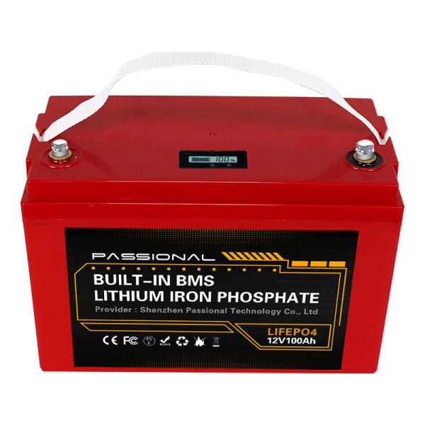 ESS Outdoor 12V LiFePO4 Battery 100ah Lithium Rechargeable For RV