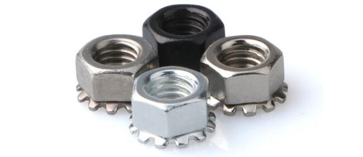 Гайки гайки k Kep гайки нержавеющей стали k с Toothed шайбой