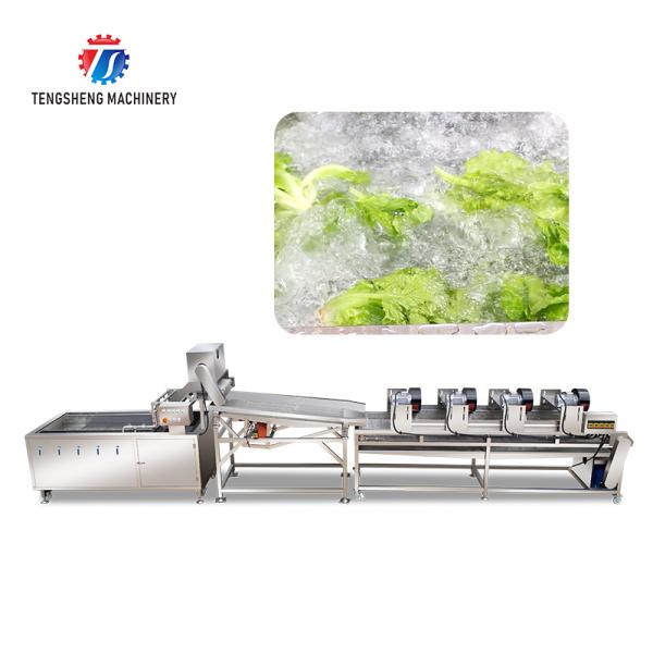 Fruit and vegetable washing and vibrating drying production line Fruit Vegetable FOOD processing production Machine Versatile and Durable Fruit Vegetable Processing Line for Your Business Processin