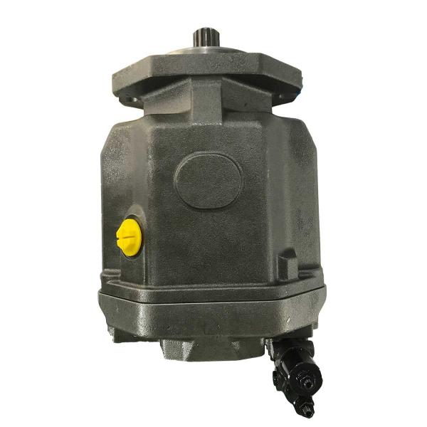 Tipo durável bomba hidráulica do pistão/carga radial de alta pressão da bomba de pistão