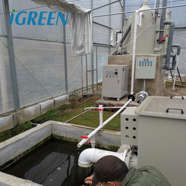 Aquaponics Growing Greenhouse Hydroponics System Automatic Watering Vertical Nft Hydroponics Growing System