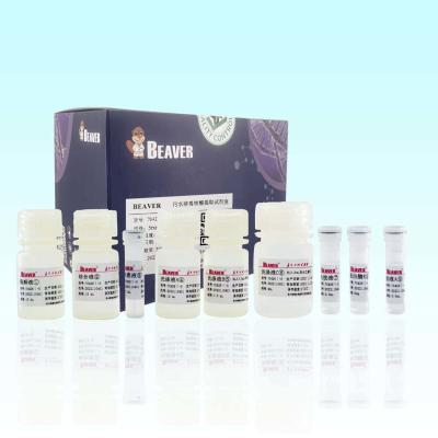 BeaverBeads Wastewater Nucleic Acid Kit Magnetic Bead Isolation