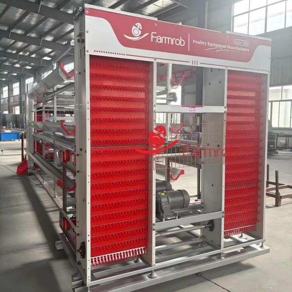 Profitable Layer Chicken Cage System for Commercial Layer in Algeria