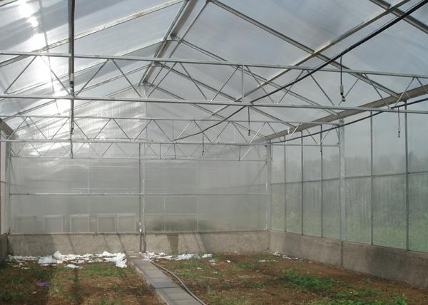 Single Span Polycarbonate PC Sheet Greenhouse With Shading System