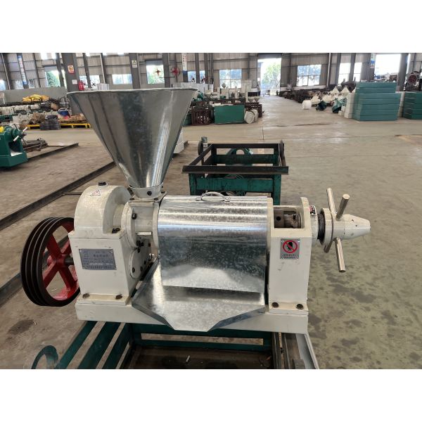Small Capacity Screw Oil Pressing Machine Oil Extraction home use hot press oil press