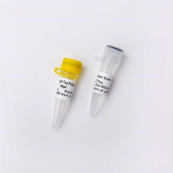 Optimus Hotstart Taq DNA Polymerase PCR Reagent Enzyme P1041