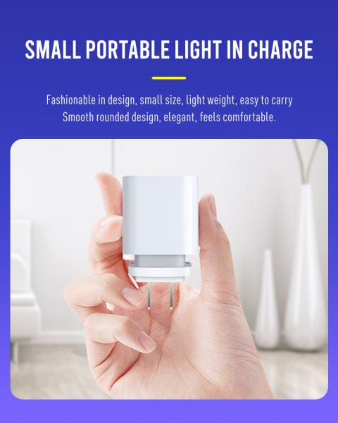 AU 2ピンUSB-C ウォールチャージャー 45W ラップトップ,タブレット,スマートフォン用 急速出力電源アダプター