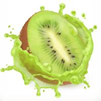 Equipamento de produção industrial automático 380V de Kiwi Juice Making Machine Fruit Juice