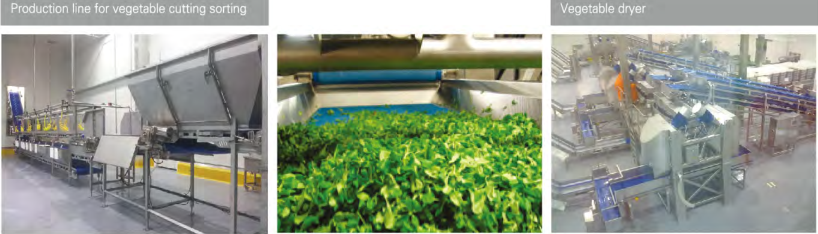 380V Commercial Food Canning Equipment Fresh Cut Fruit / Vegetable Production Line