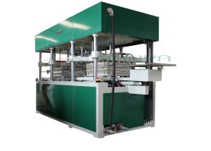 Bacia de papel de Eco - de Firendly que faz a máquina, máquina 3000Pcs/H do copo