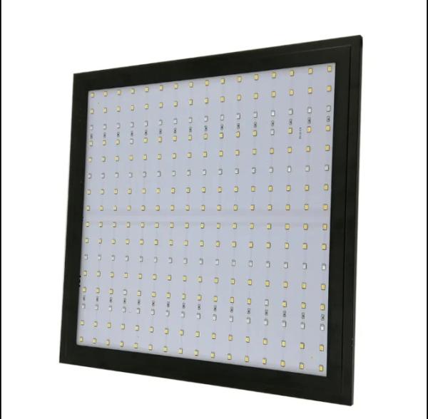 Modelo económico Lâmpada de crescimento de plantas de espectro completo Luz vermelha azul para iluminação de estufa