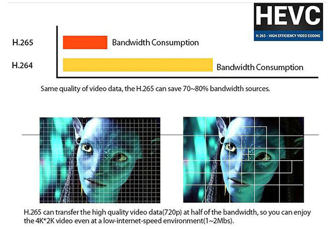 камера Ip вандала 1080P взрывозащищенная с ночным видением IMX124 H.265 IP68
