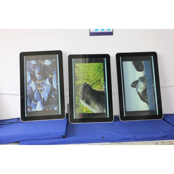 32 Inch Custom Large Touch Screen Computer Monitor , Metal Case Hdmi Touchscreen Monitor