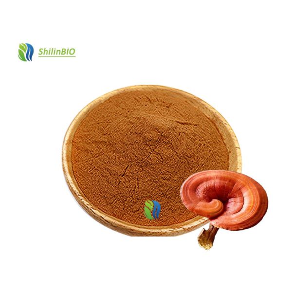 Reishi Mushroom Powder 30-45% Polysaccharides