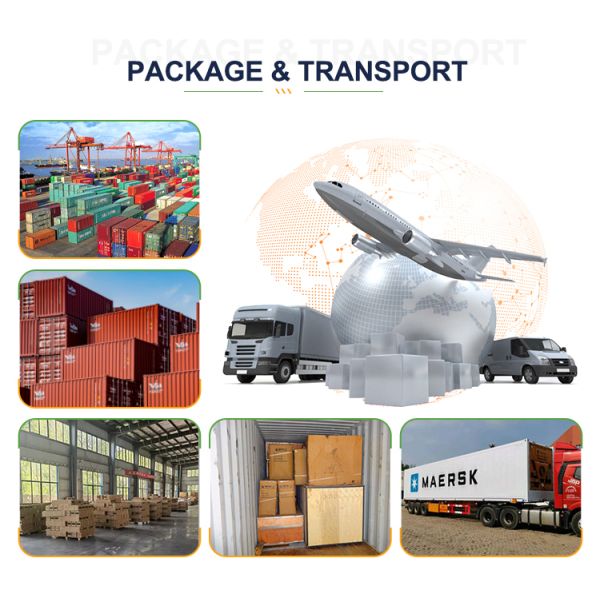 Befreeman Professional Heavy Duty 3.0HP Commercial Treadmill Running Electric Treadmill Machine