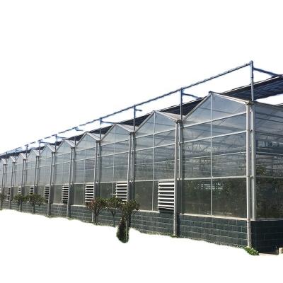 Instruções agrícolas para estufas de vidro de várias faixas com resistência super-forte