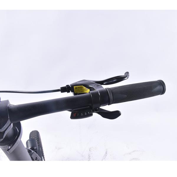 20 Inch Ultra Light Electric Folding Bike 0.25KW With Bafang Mid Drive Motor