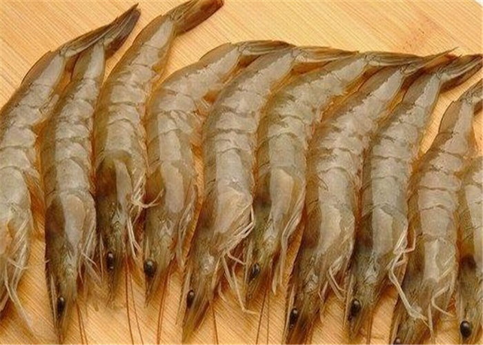 304 Stainless Steel Shrimp Processing Equipment , Shrimp Sorting Machine High Strength