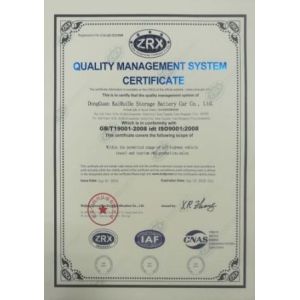 Guangzhou Ruike Electric Vehicle Co,Ltd Сертификации