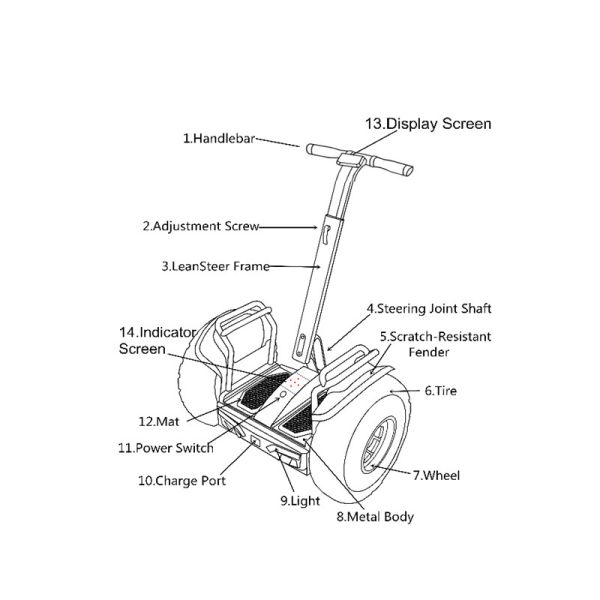 Self Balancing Segway 2 Wheel Electric Scooter Ecorider 2000w With CE Certification