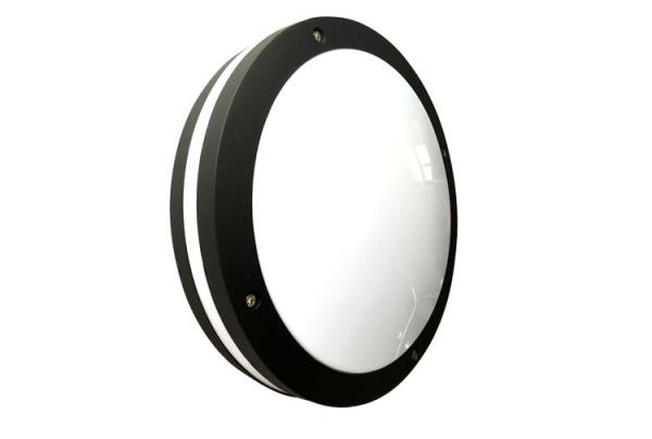 Oval  Led Bathroom Ceiling Lights Wall Mount Led Light 3000K 170*280 Waterproof 50-60Hz