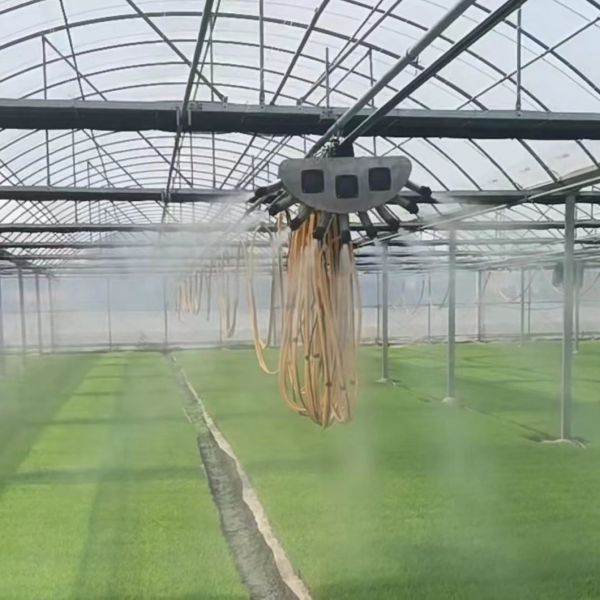 Origin Multi-Span Film Greenhouse for Easy Installation and Maintenance
