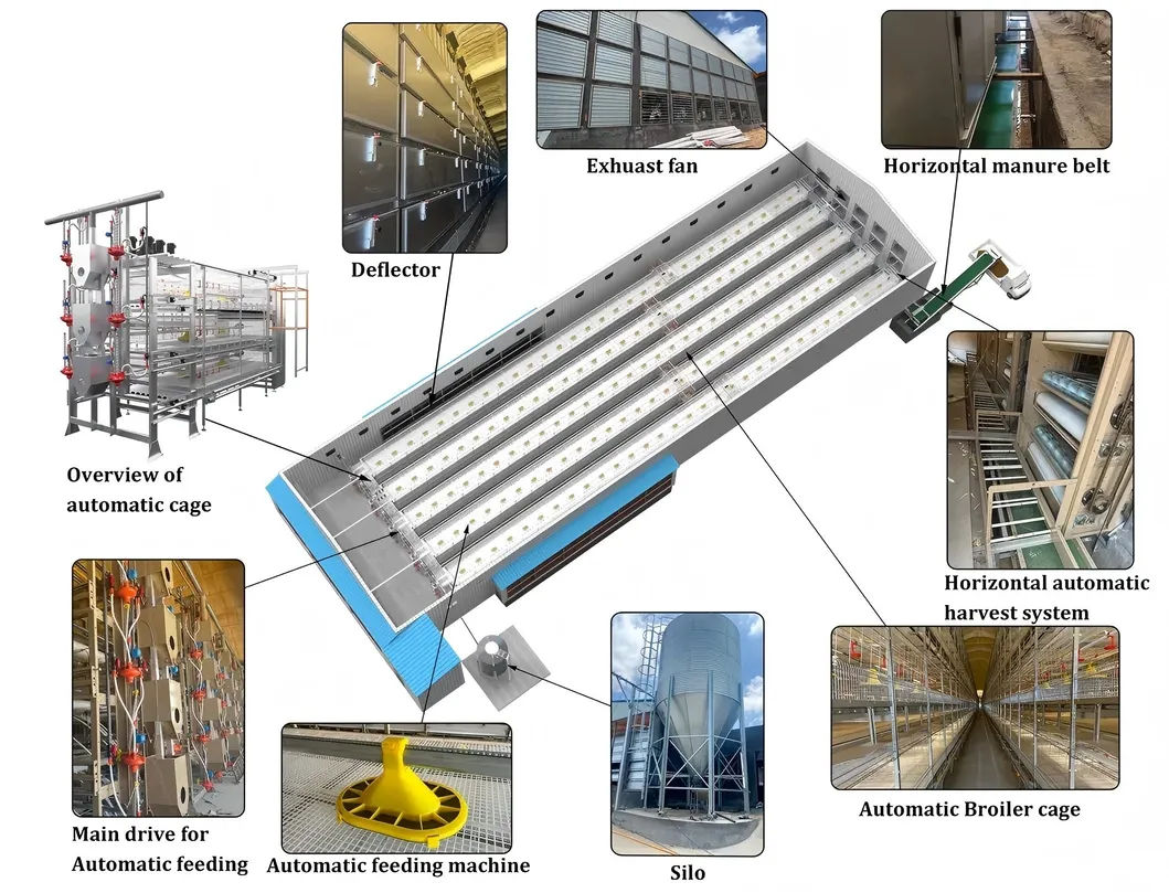 Automatic Chain Type Broiler Cage Equipment Chicken Harvest Cage For Poultry Farming