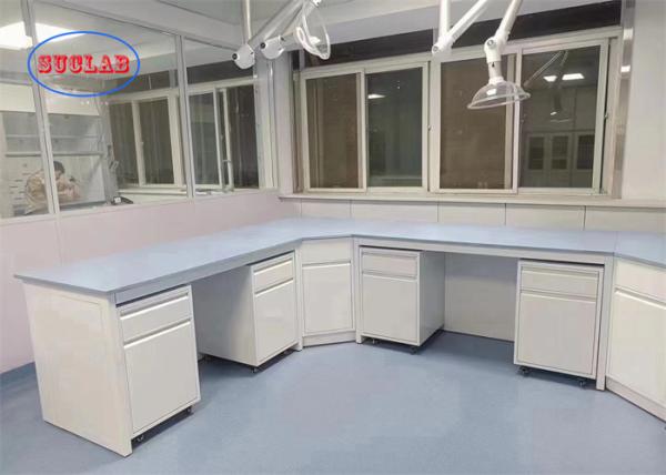 Customizable Chemistry  Lab Furniture Laboratory Furniture Hong Kong Easy To Install And Tailor-Made