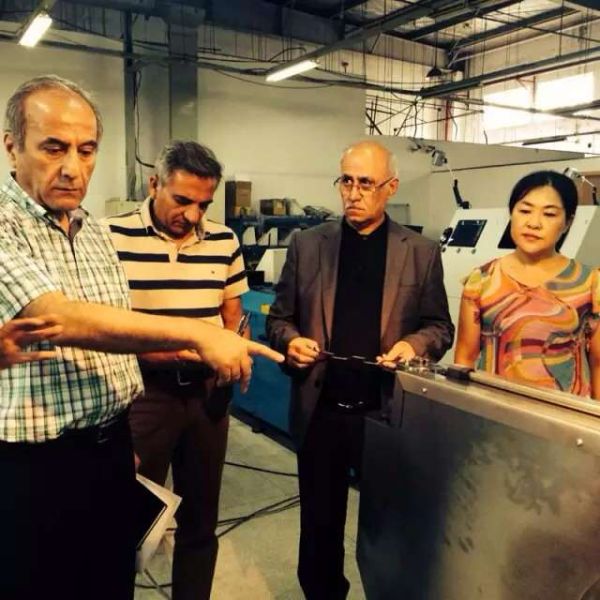 Fully Automatic Straight Line Wire Drawing Machine With Double Inverter Control