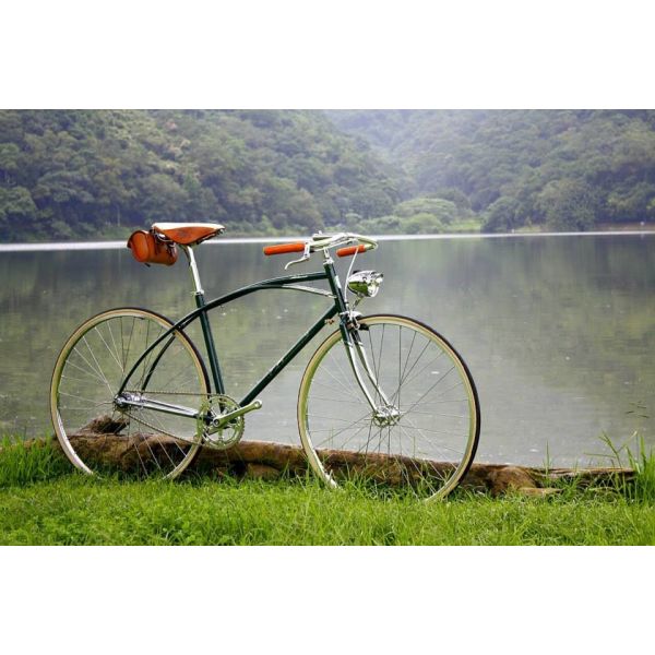 Coaster brake hi-ten steel  24/26 inch New York style city bike with Shimano 6/7 speed and Cowhide seat