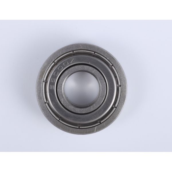 Food Grade AISI304 Deep Groove Ball Bearings S6000ZZ 10*26*8mm