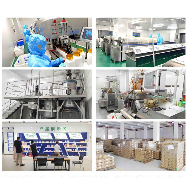 Tabletas de péptidos de colágeno VC VE 60 piezas Suplemento dietético de colágeno e hialuronato de sodio