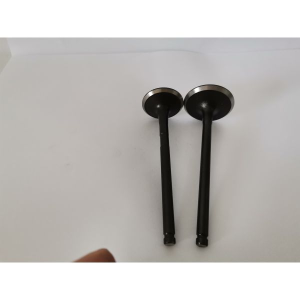 TOYOTA COROLLA Diesel Engine Valve , 3974AN Administration Valves for car