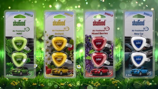 Car Vent Hanging Mint Mini Trangle 2.5ml*2 Liquid Car Air Freshener