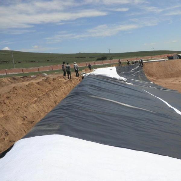 0.5mm 1mm 1.5mm Plastic Waterproof Aquaculture Geomembrane Hdpe Liner Fish Farm Wholesale Geomembrane Pond Liner
