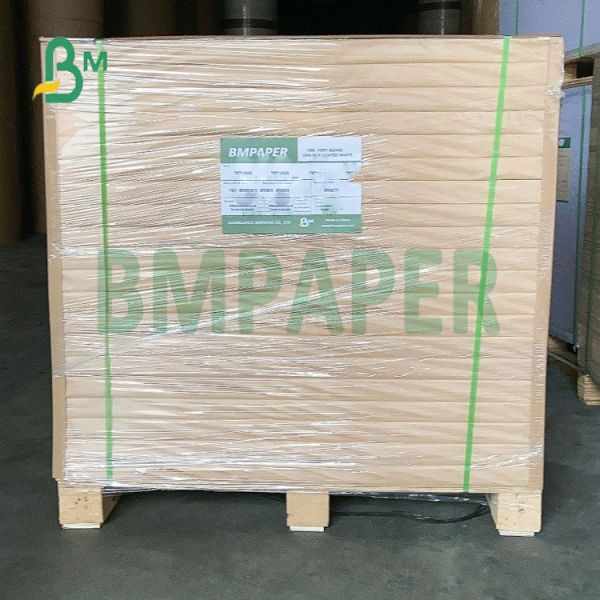 Moisture Proof Flexural Virgin Kraft Paper for File Folders