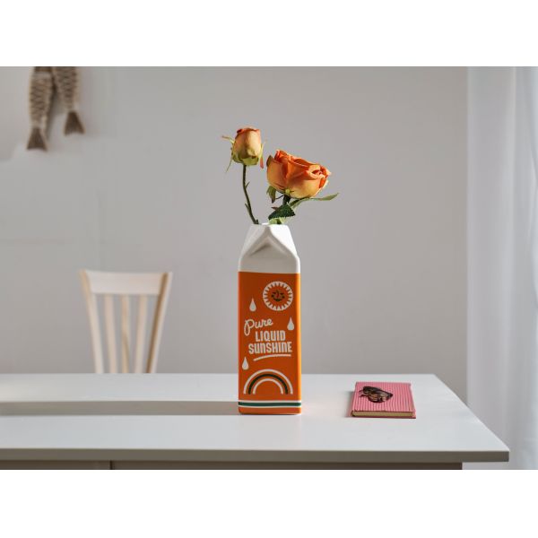 Modern Tabletop Vase for Hydroponic Flower Arrangement in Creative Orange Fruit Design