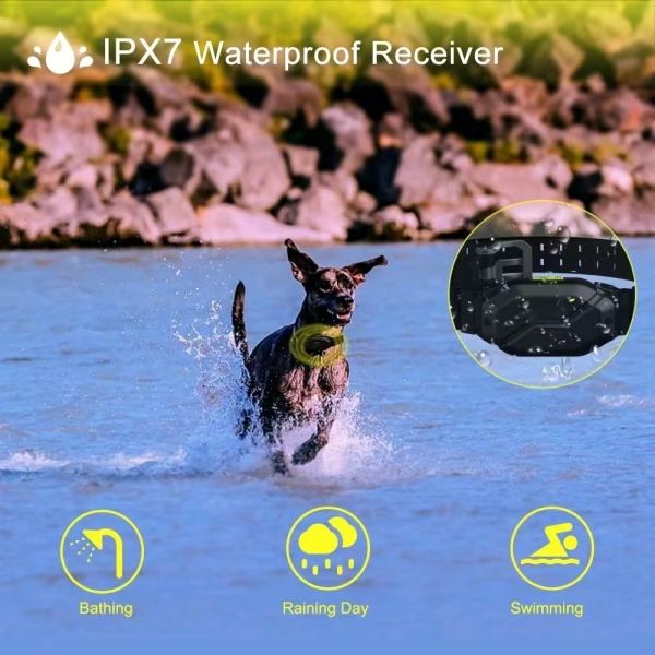 High End Fashion Large Dog Training E-Collar Set 4000FT 1200M Remote Waterproof IPX7 Rechargeable Eco-Friendly Nylon Shock