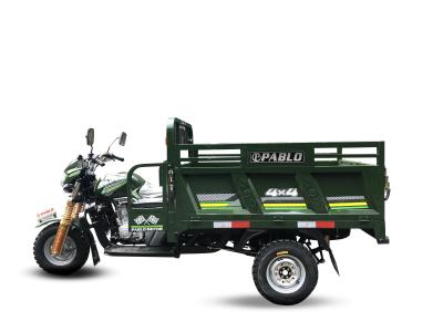 Three Wheeler 1500KG Loading Army 200CC Cargo Tricycle