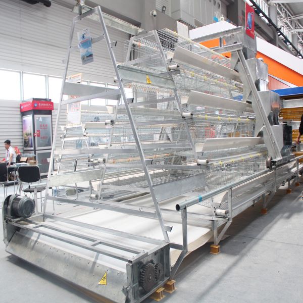 Стальные птицы ячеистой сети 10000 обрабатывают землю нагрузка клетки 100kg цыпленка слоя