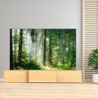 Armoire de télévision motorisée 100 pouces Armoire de télévision laser brun pour projecteur ultra court
