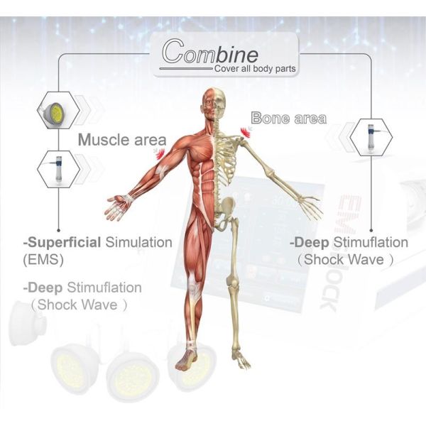 EMS Shockwave Therapy  5MJ Pain Treatment Machine