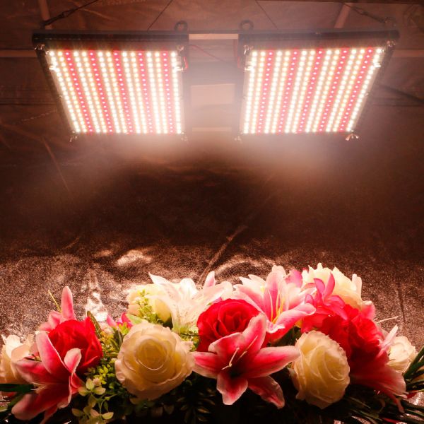 2024 Полный спектр sf 4000 LM301B LM301H 660nm UV IR DIY Board LED Grow Light Kit