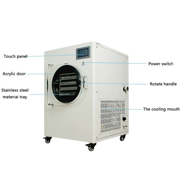 Small Mini Home Vacuum Freeze Dryer For Fruit And Vegertables Freeze Dryer