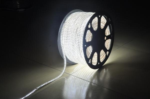 High Class SMD 5050 Single/RGB 220V/120V LED Strip Light High Bright Adversiting Decoration Lighting grow