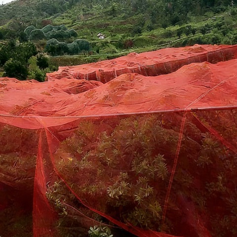 White Color Insect Mesh Net For Fruite Protection Anti Thrips